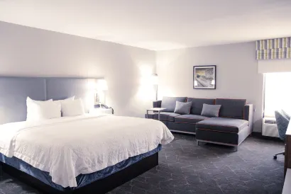 希爾頓歡朋酒店-格林威爾