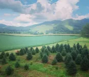 A hand-crafted cabin built in the middle of a Christmas Tree farm. - Chalets