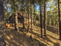 Pine Cabin - 1 acre, VIEWS, Nearby Hiking, Deck, BBQ