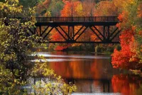 70in TV! Free Parking Downtown! Hotels in Dover