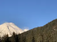 Cozy & Clean 1 Bedroom Apartment - Free Parking Hotels in Juneau