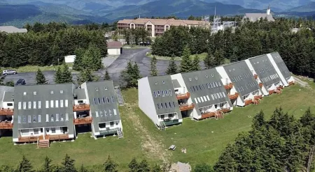 Hare of the Dog - 3 BR - Sleeps 10 - Ground Level Walk Out