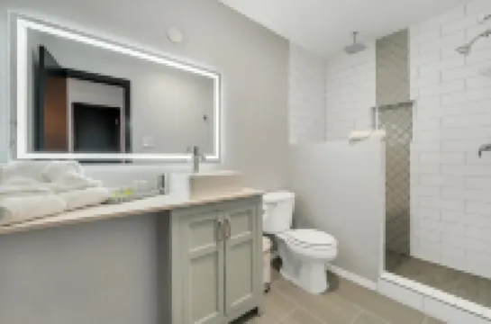 Beautiful Contemporary Suite #04