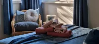 Idyllwylde. Pet-friendly. Cosy. Close to town & river.