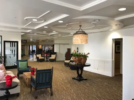 Deluxe Room w/King Bd, Ocean/Pool views, New Furnishings!, No Resort Fee Отели рядом с Аэропорт Лихуэ