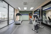 Hampton Inn Waynesboro/Stuarts Draft - Gym