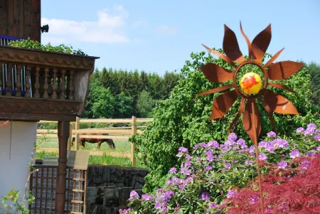 Vacation in the Bavarian Forest paradise