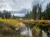 Cozy Condo on the 4th Fairway of  Plumas Pines Golf Course - Boutique