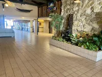 Oceanfront Studio1st floor- Pools Open - Hawaiian Inn