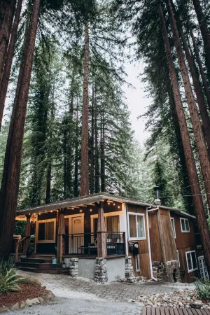 Mountain cabin w/king suite in the Redwoods of the Santa Cruz Mountains