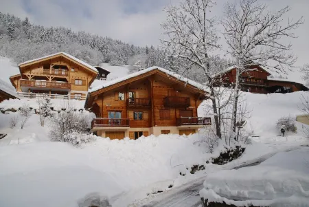 Chalet in French Alps -  Beautiful, quiet location