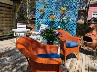HEY, GET A ROOM! Couples Getaway : Bikes, beach chairs, umbrella :Central locale Hoteles en Kitty Hawk