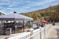 Pineapple Lodge: Mountain Vibes~Game Room~Grill~Loads of Space