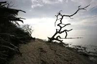 Modern wooden house on the Bodden with two apartments that can be combined Hotels in Loissin