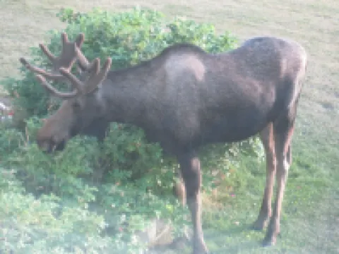 Luxurious Secluded Hillside 1000 sq ft Studio on 5 acres