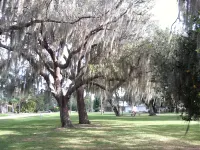 Private Cottage Getaway. Close to the   River & downtown River District.