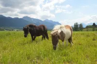 Apartment with panoramic views