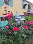 Sunkissed Cottage - Country Houses
