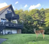 Charming Cottage on a hill by Camelback and Kalahari