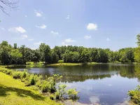 Cozy 3-Bedroom Cottage, Near the Lake Hotels in Dickson County