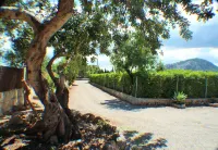 Peaceful villa renovated at 500 metres from Pollensa village  AND WIFI FREE