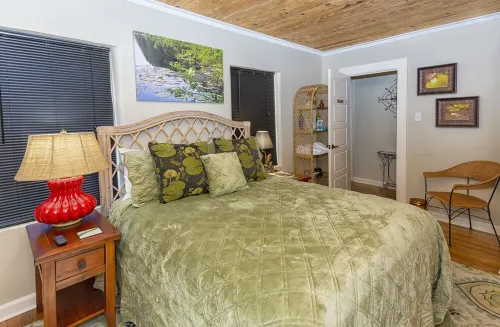 2 bedroom downstairs The Henry House and Queen pull out sofa