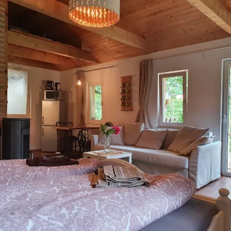 lovingly furnished cottage with terrace in the countryside