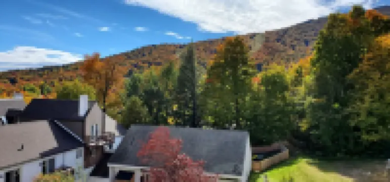 Ski-on/Off, Slope Views, Mountainside Top Floor, Vaulted Ceilings, Gas Fireplace