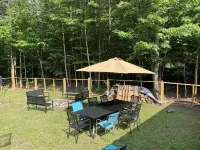 Swift River waterfront fully renovated family and dog friendly home in Tamworth