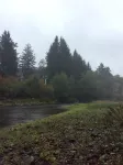 Cozy Cabin On The Sol Duc River Sleeps Four. Fully Supplied Kitchen And Linen's.
