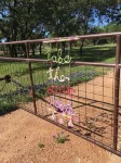 Byrd + Branch "Guest Favorite" King Cabin Near Downtown & Wine Trail, sleeps 3