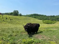Rise and Shine فنادق في Menifee County