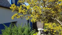 Maison Bleue - Finistère Sud - 4 people close to the beach and the port