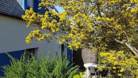 Maison Bleue - Finistère Sud - 4 people close to the beach and the port Отели в г. Неве