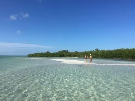 Palm Cottage Sleeps 4. Fall and Holiday Season at Hidden Hammock.