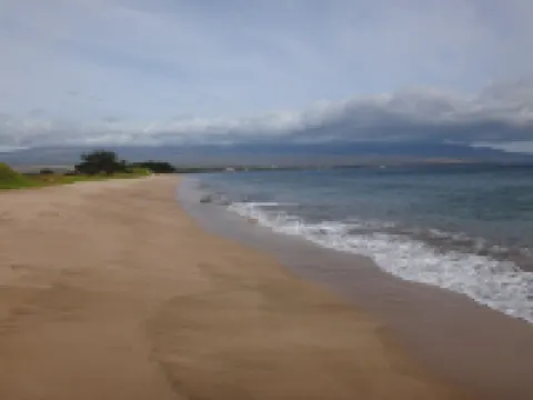 Super Luxury, Direct Oceanfront, 20 yards From Ocean, Whale Watchers Paradise