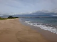 Super Luxury, Direct Oceanfront, 20 yards From Ocean, Whale Watchers Paradise