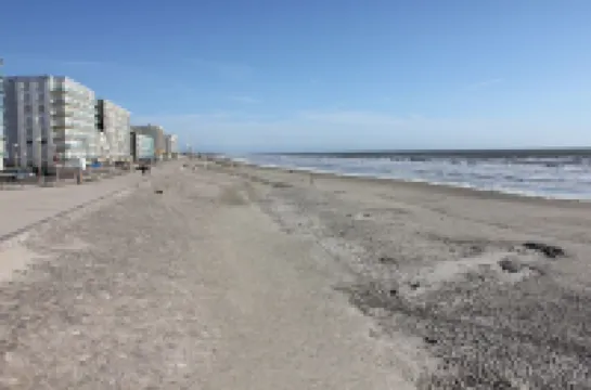 Located in the heart of a pine forest in a very quiet and green location. Hotels in Neufchatel-Hardelot