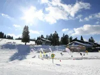 2-room apartment 2-4 persons, directly on the ski slope and hiking trails Hotels in Feldberg