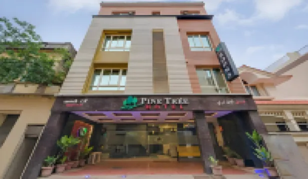 Pine Tree Boutique Hotel 金奈住宿飯店