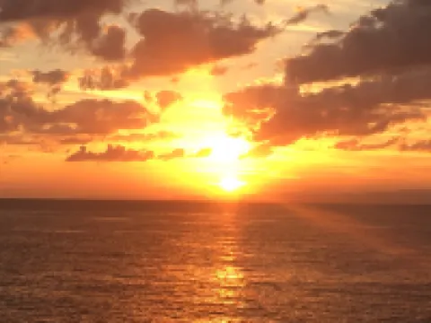 Hotel Palm Beach Hotels in Oshima