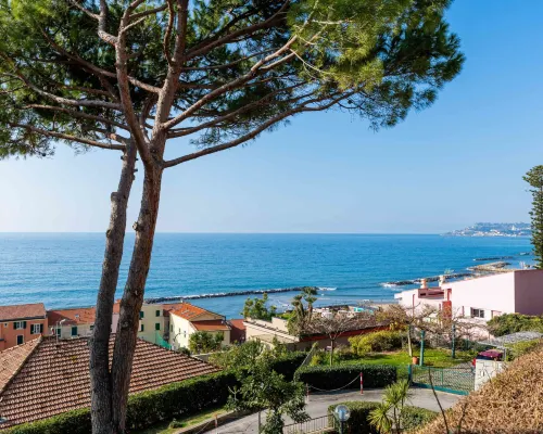 Il Piccolo Ulivo Hoteles en Santo Stefano al Mare