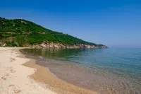 Mukha ORMANLI - Beach