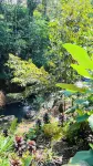 elbamboo guesthouse Hotel di Licin