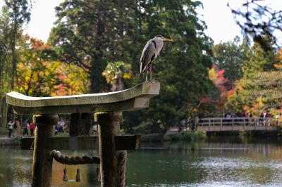 ホテル周辺 和モダンな温泉旅館 湯布院らんぷの宿の写真