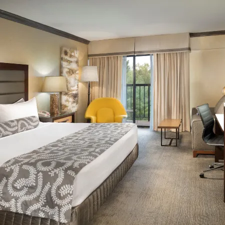 Crowne Plaza Resort ASHEVILLE by IHG