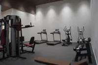 The Fern Heaven on the Hills Hatgad-Saputara, Series by Marriott - Gym
