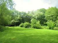 Riverside Retreat Viroinval