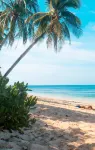 Isla Haruhay Hotels in Dapa