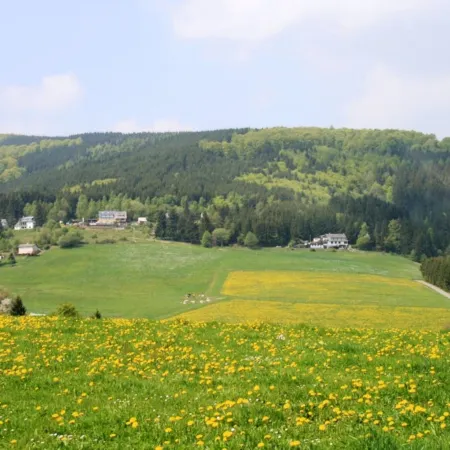 Ferienwohnung Bei Willingen Mit Eigener Terrasse